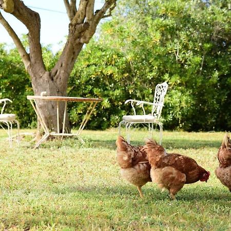 Binicalsitx Casa Rural Ferreries Zewnętrze zdjęcie