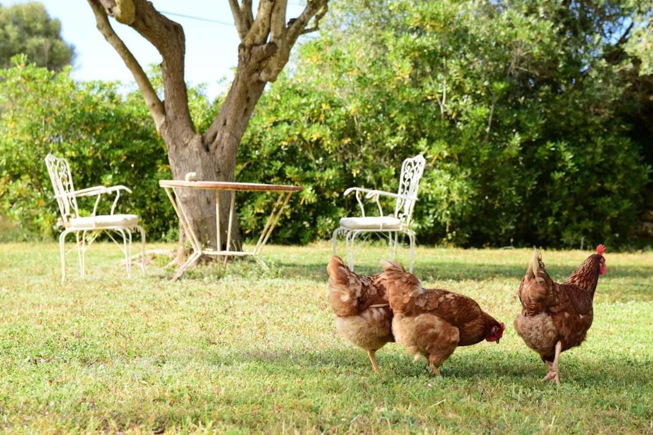 Binicalsitx Casa Rural Ferreries Zewnętrze zdjęcie